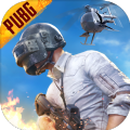 pubg轻体直装(PUBG MOBILE)