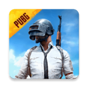 pubg国际服2024年最新更新版本(PUBG MOBILE)