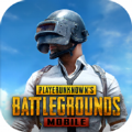 pubg地铁逃生绿体文件(PUBG MOBILE)