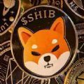 Shiba