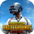 PUBG国际服3.1版本(PUBG MOBILE)