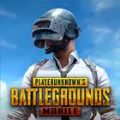 地铁逃生测试服2.94版本(PUBG MOBILE)