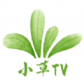 小草TV免费版app