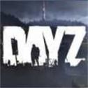 dayz下载