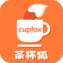 cupfox茶杯狐正版