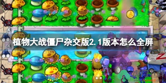 植物大战僵尸杂交版2.1版本怎么设置全屏_植物大战僵尸杂交版2.1全屏打开教程